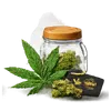 Marijuana Delivery